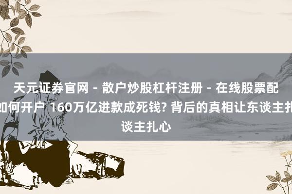 天元证券官网 - 散户炒股杠杆注册 - 在线股票配资如何开户 160万亿进款成死钱? 背后的真相让东谈主扎心