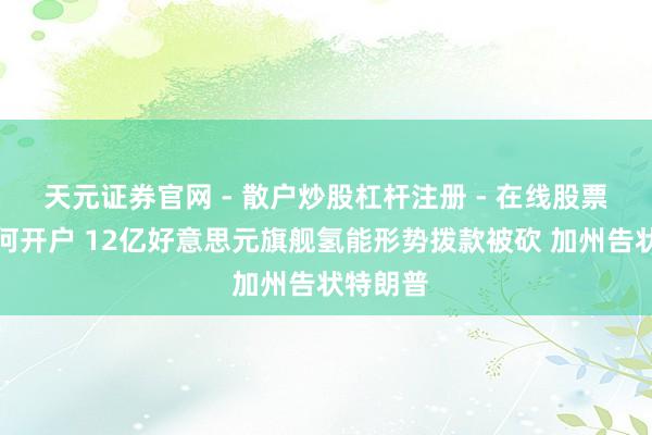 天元证券官网 - 散户炒股杠杆注册 - 在线股票配资如何开户 12亿好意思元旗舰氢能形势拨款被砍 加州告状特朗普