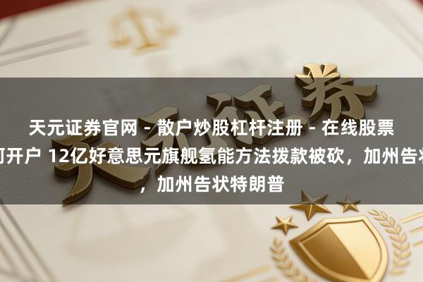 天元证券官网 - 散户炒股杠杆注册 - 在线股票配资如何开户 12亿好意思元旗舰氢能方法拨款被砍，加州告状特朗普