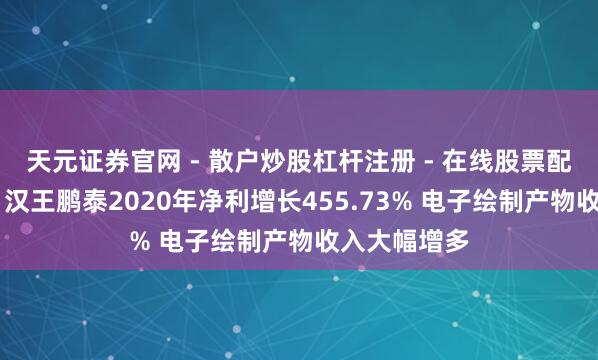 天元证券官网 - 散户炒股杠杆注册 - 在线股票配资如何开户 汉王鹏泰2020年净利增长455.73% 电子绘制产物收入大幅增多