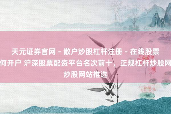 天元证券官网 - 散户炒股杠杆注册 - 在线股票配资如何开户 沪深股票配资平台名次前十，正规杠杆炒股网站推选