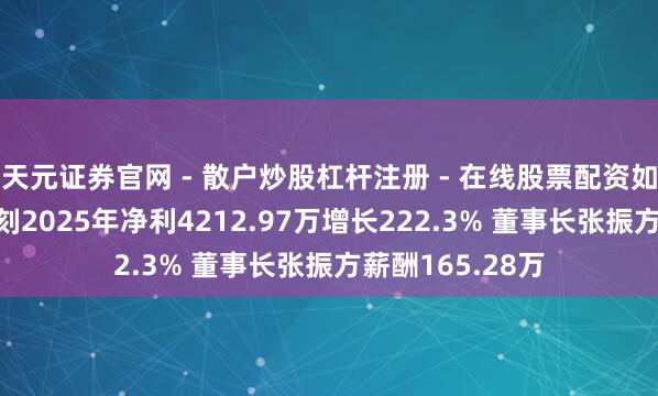 天元证券官网 - 散户炒股杠杆注册 - 在线股票配资如何开户 海能时刻2025年净利4212.97万增长222.3% 董事长张振方薪酬165.28万