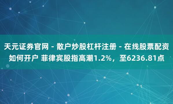 天元证券官网 - 散户炒股杠杆注册 - 在线股票配资如何开户 菲律宾股指高潮1.2%，至6236.81点