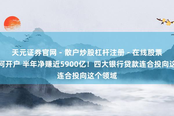 天元证券官网 - 散户炒股杠杆注册 - 在线股票配资如何开户 半年净赚近5900亿！四大银行贷款连合投向这个领域