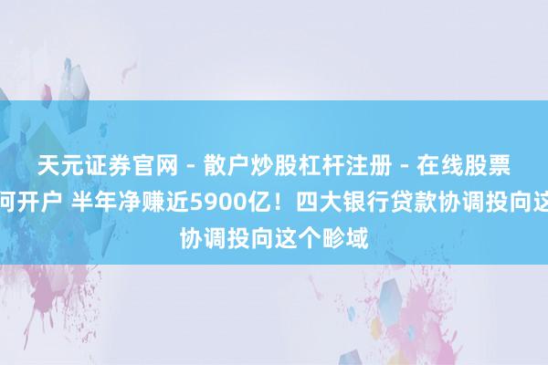 天元证券官网 - 散户炒股杠杆注册 - 在线股票配资如何开户 半年净赚近5900亿！四大银行贷款协调投向这个畛域